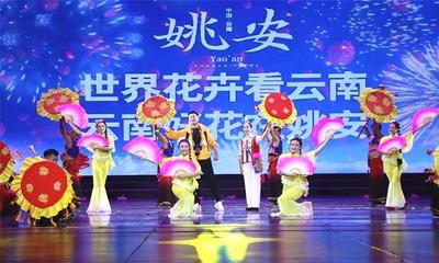 姚安县:“四措并举”推进非遗传承保护工作