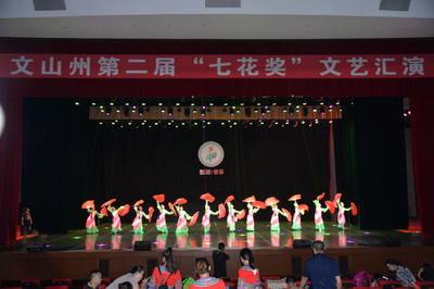 文山州第二届“七花奖”文艺汇演在砚山县举行