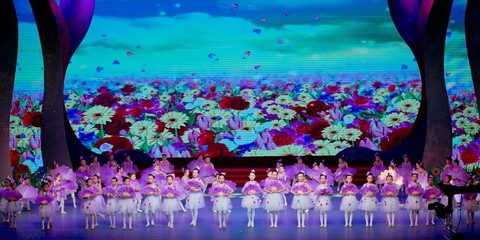 昕宇艺术培训中心|《心中的马兰花 开啦》绽放2017全区六一文艺晚会!