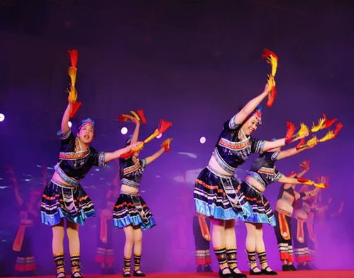 火炬区这场大赛首次采用app直播,吸引过2万人关注 他们是在