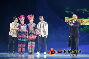 楚雄州举行扫黑除恶专项斗争专场文艺演出