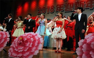 学院隆重举办 不忘初心铸能源,凝心聚力创辉煌 2018迎新年文艺演出