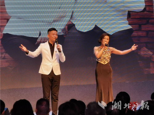 湖北省文艺界原创音乐作品专题演唱会举行 还有系列演出免费请您看