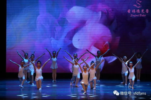 圣福德专场演出唯美落幕,百余张照片,自选开启