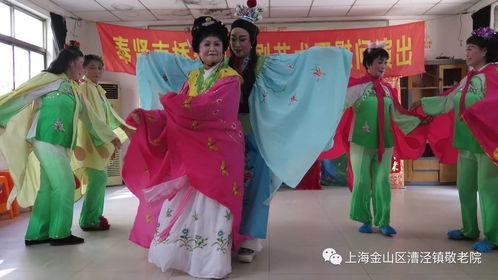 奉贤南桥菊红越剧艺术团来院表演越剧 梁山伯与祝英台