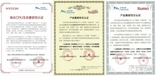 chainsql完成与海光 中科曙光 中科可控产品兼容性认证